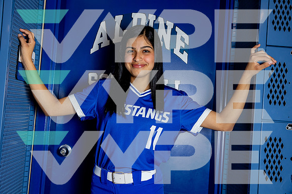 ALDINE_SFBL-(BROWN)-10