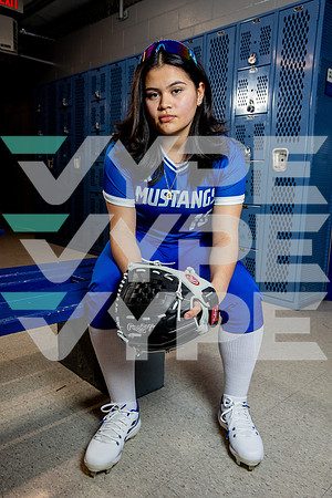 ALDINE_SFBL-(BROWN)-11