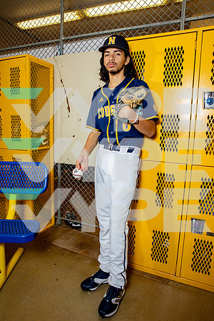 NIMITZ_BSBL-(BROWN)-10