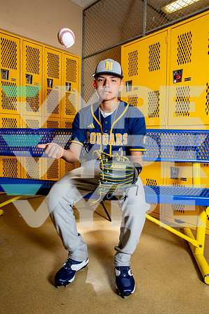 NIMITZ_BSBL-(BROWN)-20