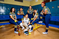 NIMITZ_SFBL-(BROWN)-3