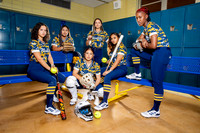 NIMITZ_SFBL-(BROWN)-2