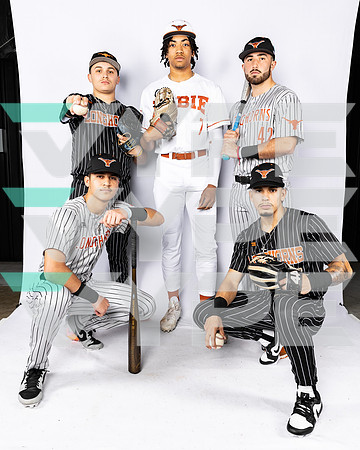 DOBIE_BSBL-(BROWN)