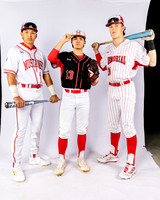 SPRING_BRANCH_MEMORIAL_BSBL-(BROWN)