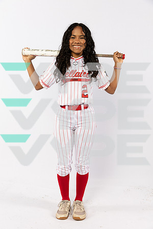 BELLAIRE_SFBL-(BROWN)-14