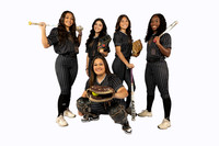 JERSEY_VILLAGE_SFBL-(BROWN)