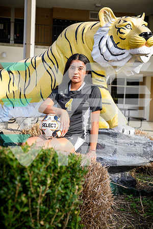 SPRING_WOODS_GSOC_Laura Flores-(WRIGHT)-2
