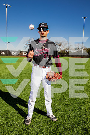 LEE_BSBL-(BROWN)-45