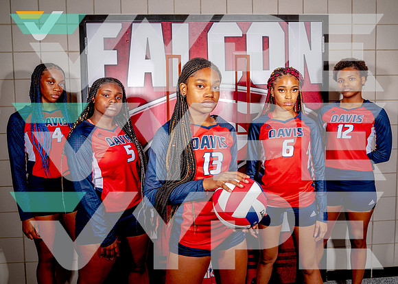 DAVIS_VB_TEAM__193-(BCC)_print