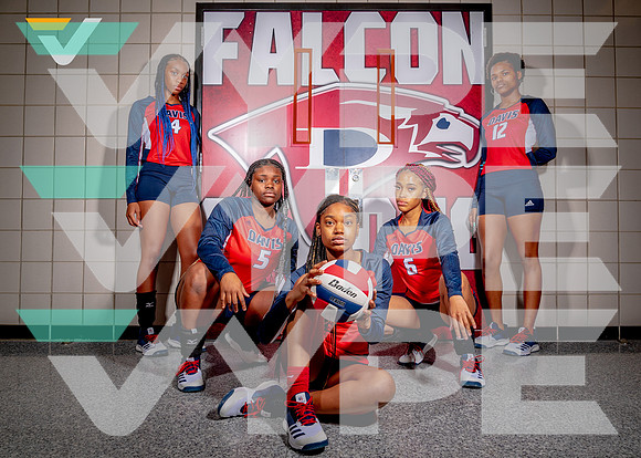 DAVIS_VB_TEAM__192-(BCC)_print