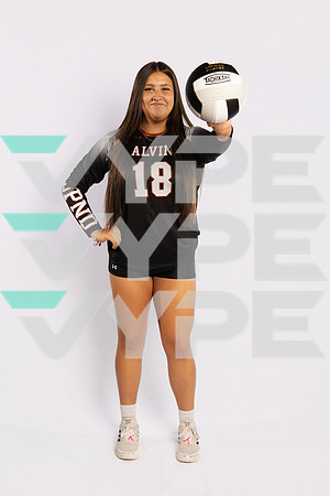 0F9A0750-ALVIN_VOLLEYBALL-(BROWN)