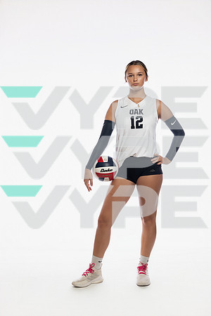 KLEIN OAK_VB-(COLLIER)-93