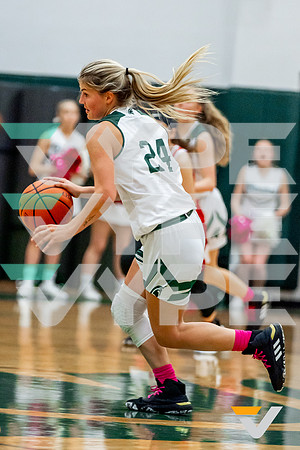14-TWCA_LHN_GBB_-(BCC)