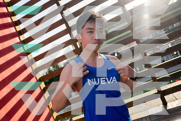 NUEVA_TF-(BCC)-19
