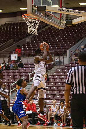 025_LANGHAM_CREEK_ALDINE_BB_-(JUSTIN HARTOJO)