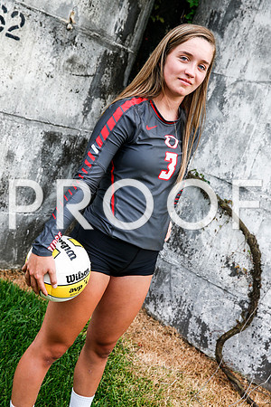 vypevolleyball2016_036