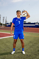 ALDINE_SOC-(BROWN)-562
