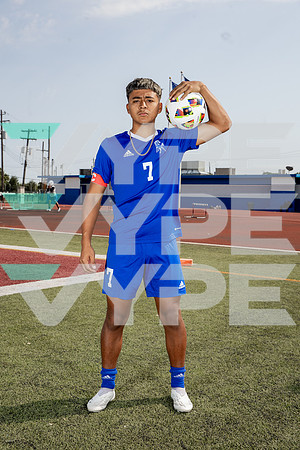 ALDINE_SOC-(BROWN)-562
