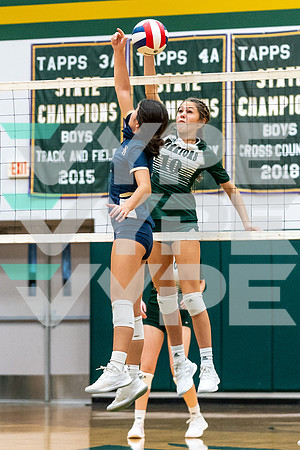 71-TWCA_SBS_VB_Maddie Steed-(BCC)