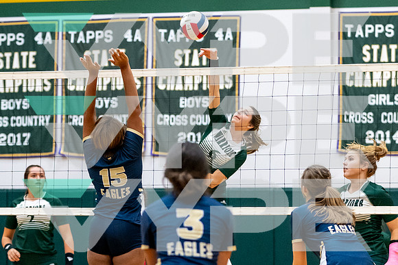 12-TWCA_SBS_VB_Abby Adams-(BCC)