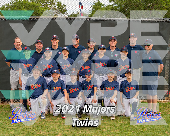 POLL Team Majors Twins 2021