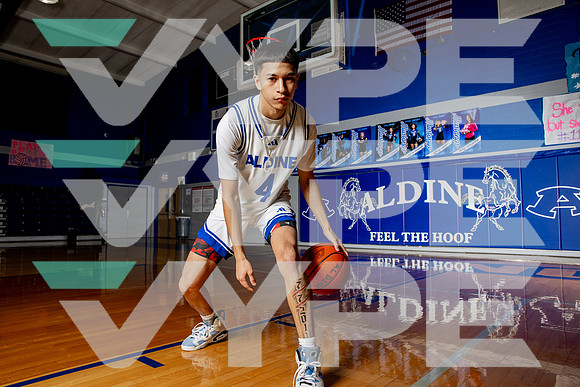 ALDINE_BB-(BROWN)-457
