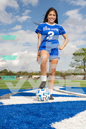 STERLING_GSOC_191-(BCC)