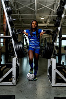 STERLING_GSOC_-(BCC)-2
