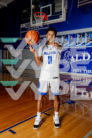 ALDINE_BB-(BROWN)-462
