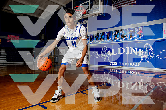 ALDINE_BB-(BROWN)-463