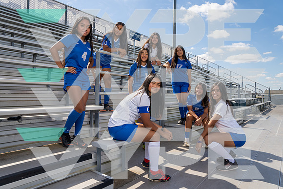 WILLOWRIDGE_GSOC_TEAM__17-(HARTOJO)