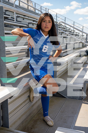 WILLOWRIDGE_GSOC__25-(HARTOJO)