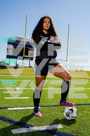 AUSTIN_GSOC_07014-(HARTOJO)