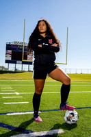 AUSTIN_GSOC_07017-(HARTOJO)