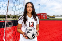 GCM_GSOC_Anahi Toledo-(BCC)