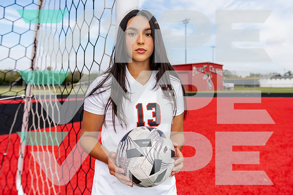 GCM_GSOC_Anahi Toledo-(BCC)