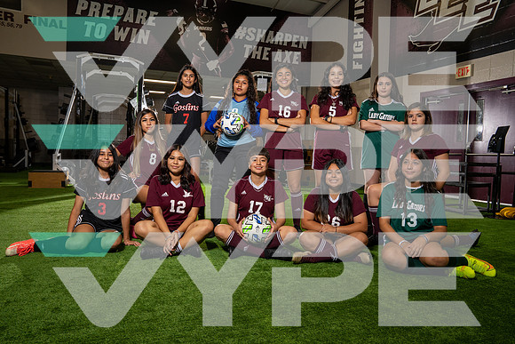LEE_GSOC_TEAM_91-(BCC)