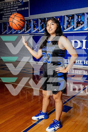 ALDINE_GBB-(BROWN)-409