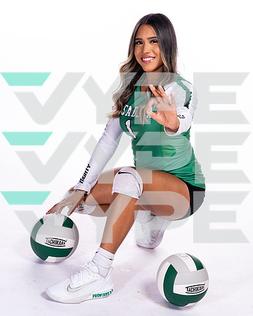 PASADENA_VB-(COLLIER)-15