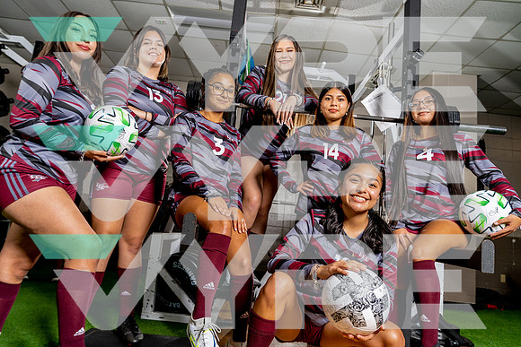 LEE_GSOC_TEAM_-(BCC)-3
