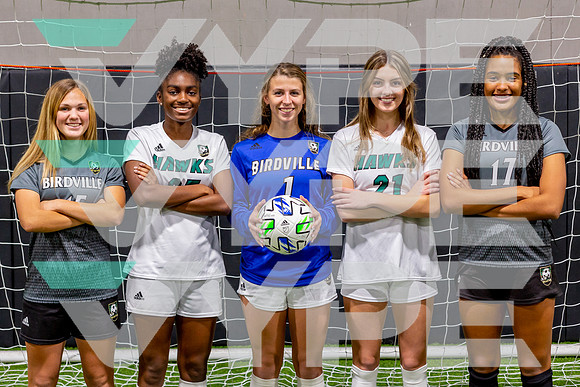 BIRDVILLE_GSOC__43-(FAULKENBERRY)