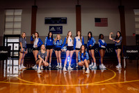 Volleyball