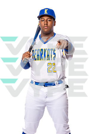 KLEIN_HIGH_BSBL-(BROWN)-00002927