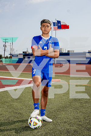 ALDINE_SOC-(BROWN)-564