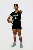 PASADENA_VB_0007_(BROWN)