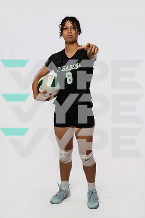 PASADENA_VB_0007_(BROWN)