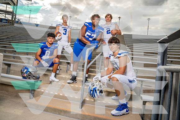 NEEDVILLE_FB_TEAM__2036-(BCC)