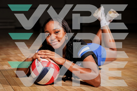 DICKINSON_VB_0F9A7669-(BROWN)