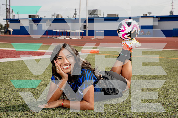 ALDINE_GSOC-(BROWN)-499