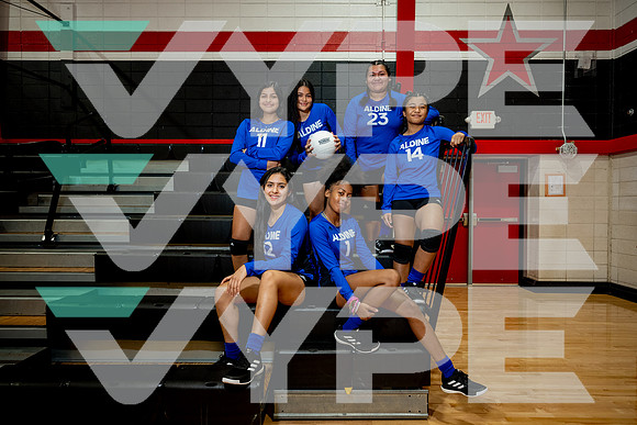 ALDINE_VB_09925-(DRISKILL)